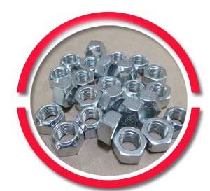 Stainless Steel Lock Nuts